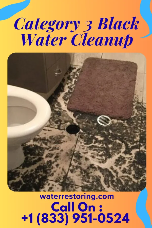 Category 3 Black Water Cleanup in Wapello, IA