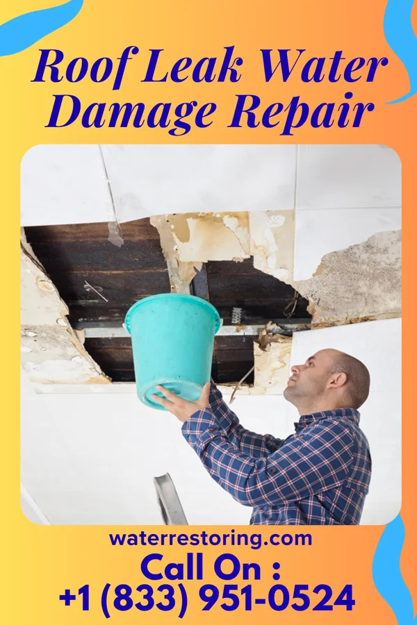 Roof Leak Water Damage Repair in Wapello, IA