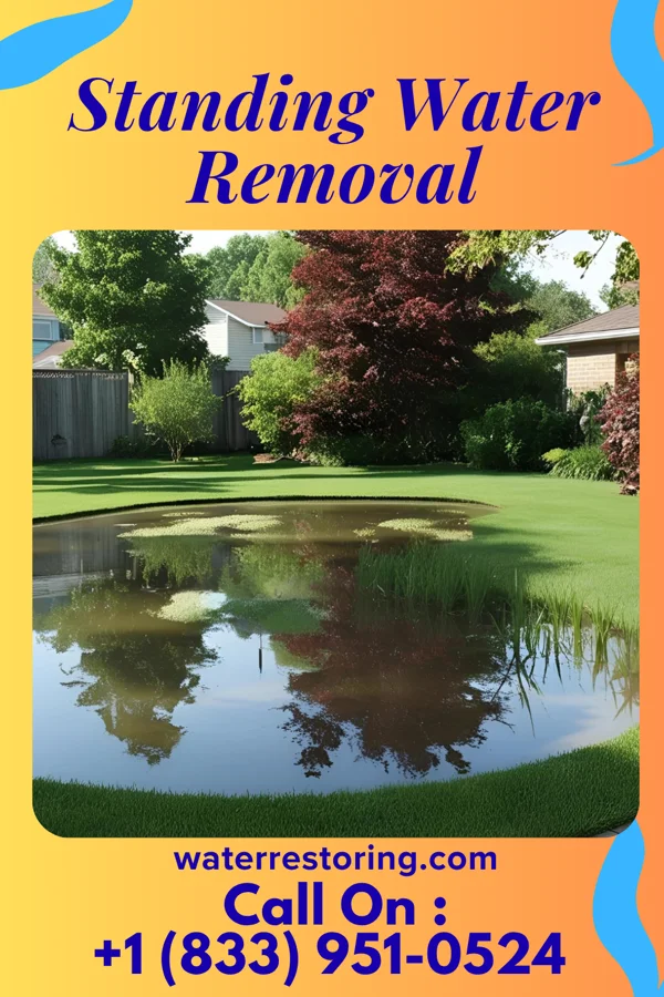 Standing Water Removal in Wapello, IA